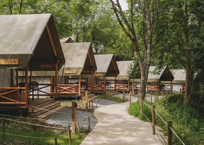 Hôtel accueillant les animaux: Wecamp San Sebastian