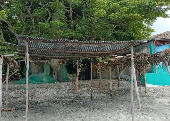 Taca Tucan Hostel