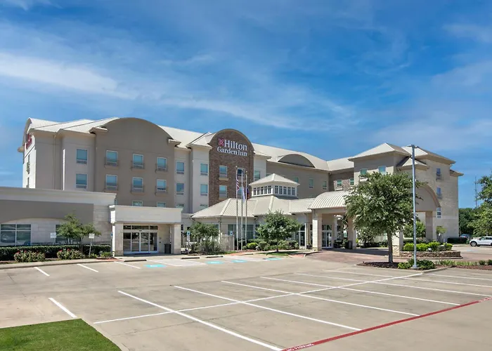 Jacuzzi hotel: Hilton Garden Inn Dallas Arlington