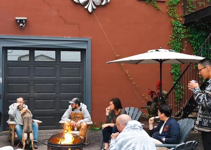 Pet Friendly hotel: The Haven Hostel