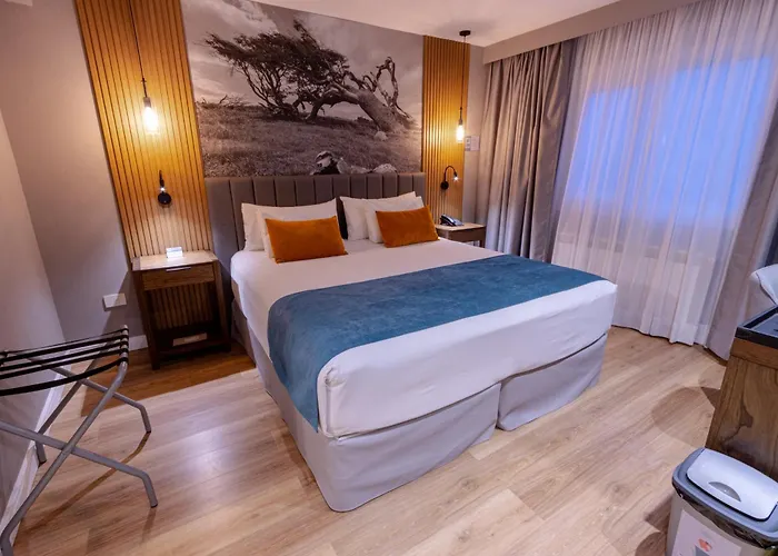 Ski hotel: Alto Andino Hotel