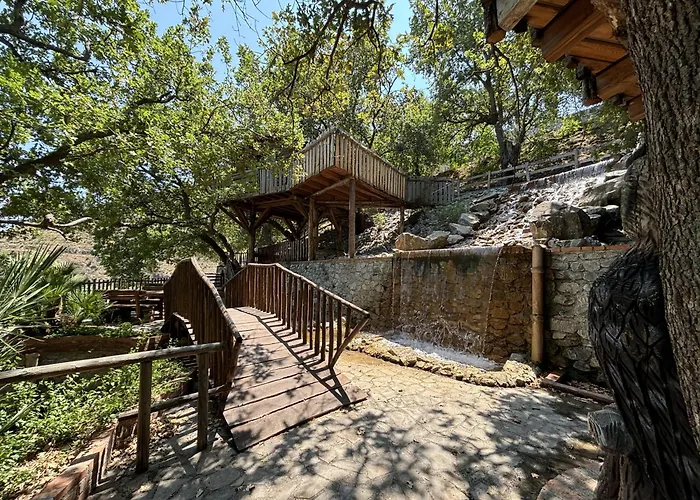 Hotel di lusso: Le casette sull'albero di VILLA ALBA