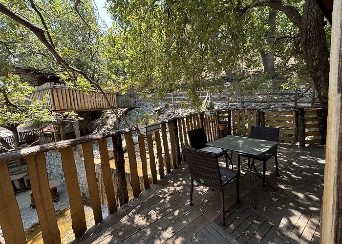 Hotel di lusso: Le casette sull'albero di VILLA ALBA