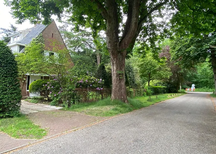  Studio Bergen
