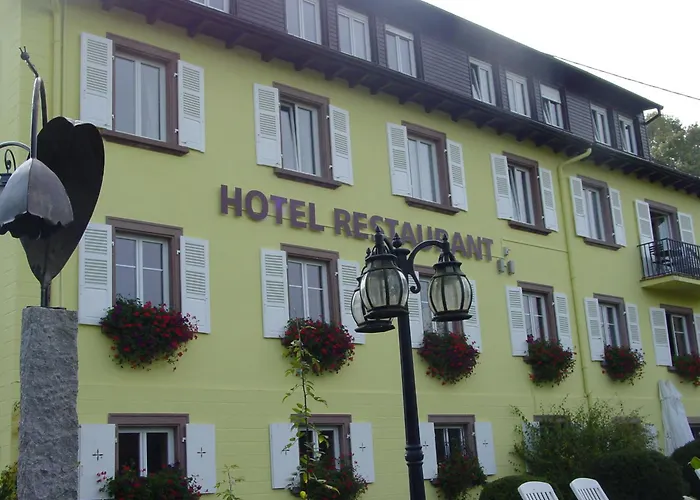 Hôtel accueillant les animaux: Hôtel Marchal