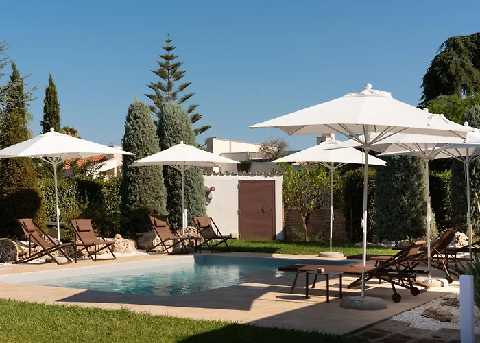 B&B Radici d'Olivo