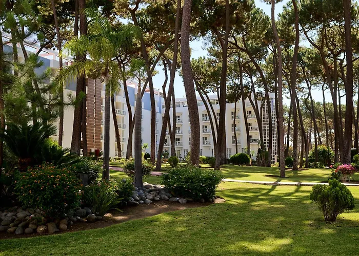 Hotel 4 stelle: AluaSun Marbella Park