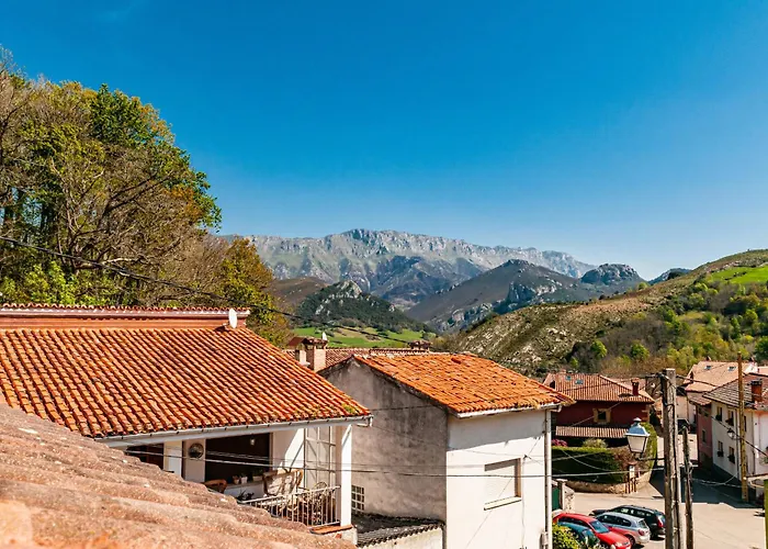 Perros hoteles La Regoria