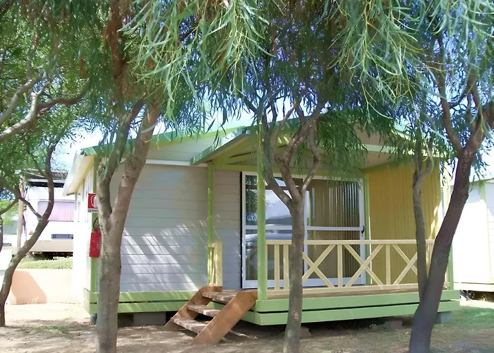 Hotel adatto agli animali: La Liccia - Camping&Village