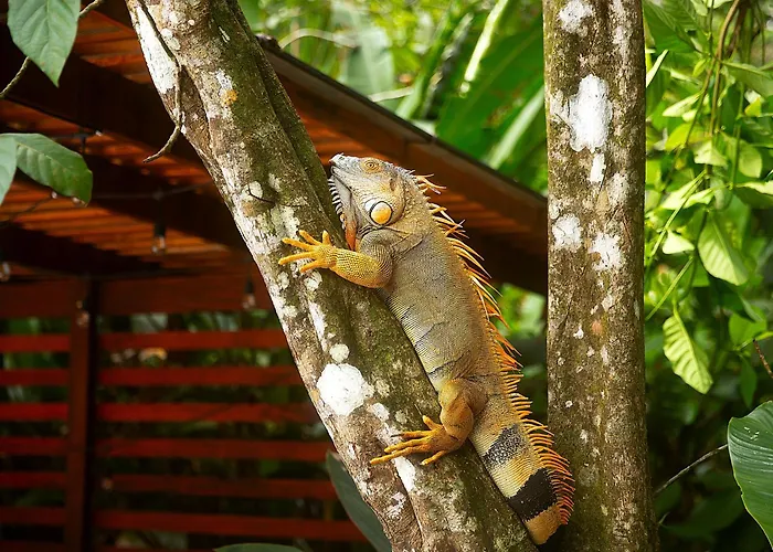 Hotel near College: Aninga Lodge