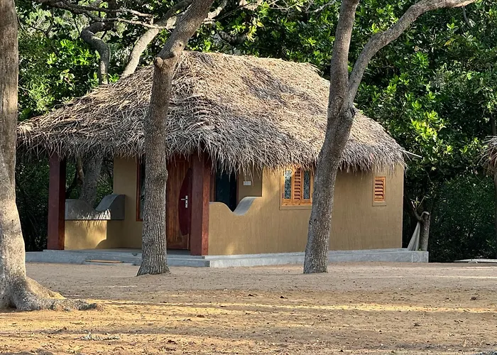 Peanut Farm Surf And Wild Resort - Arugambay