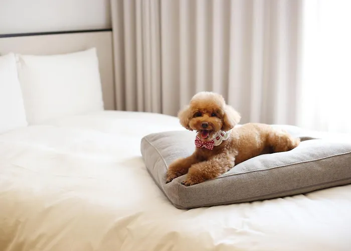 5 star hotel: Maison Glad Jeju