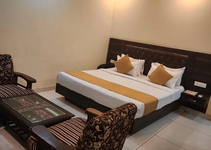 Pets Allowed Hotel City Lite
