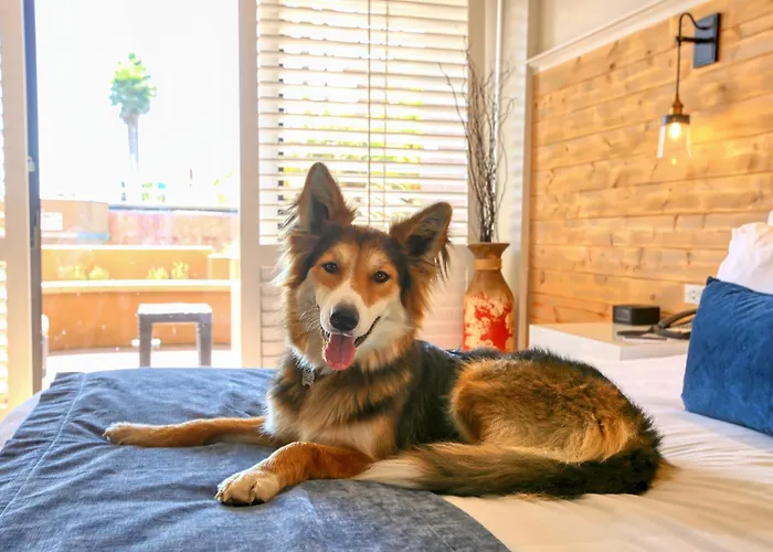 The Cliffs Hotel And Spa