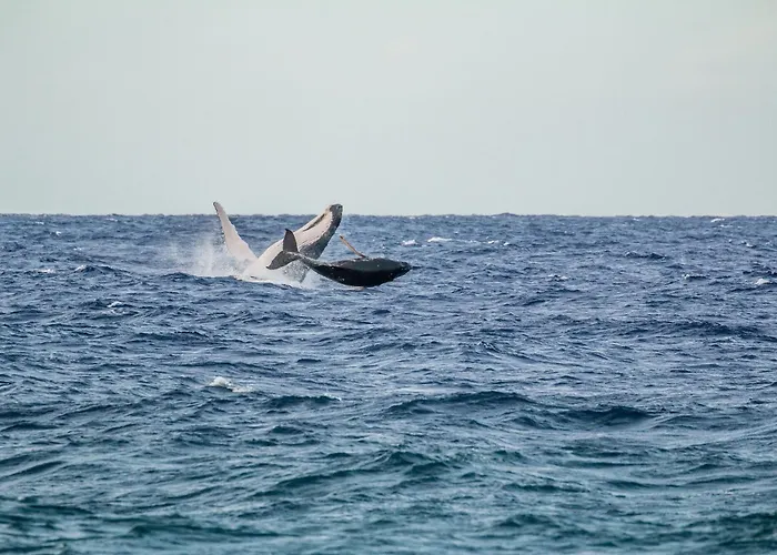 Absolute Beachfront - A Slice Of Paradise!