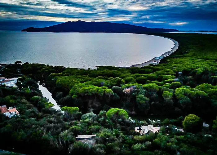 Paradisino