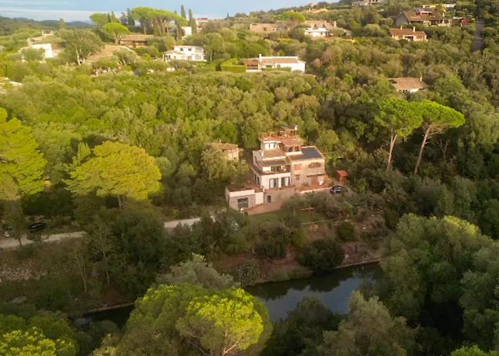 Paradisino