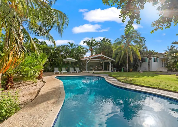 Tuk Tropical Boutique Resort Jan Thiel