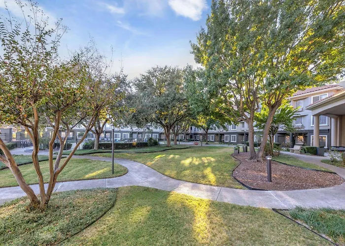 La Quinta By Wyndham Dallas Dfw Airport North