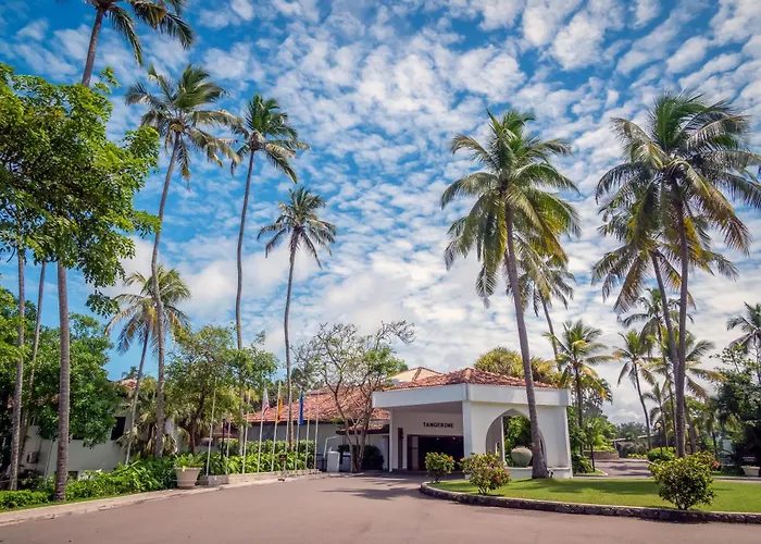 Tangerine Beach Hotel