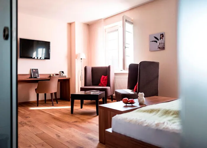 Haustierfreundliches Hotel: Kunsthotel Drei König am Marktplatz Stadt Lörrach