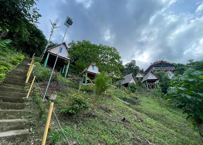 Camping: Forest Camp El Nido