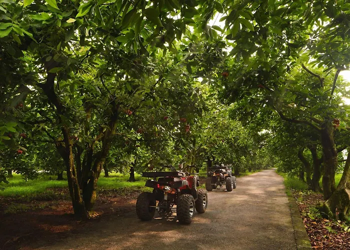 Central hotel: The Westin Desaru Coast Resort