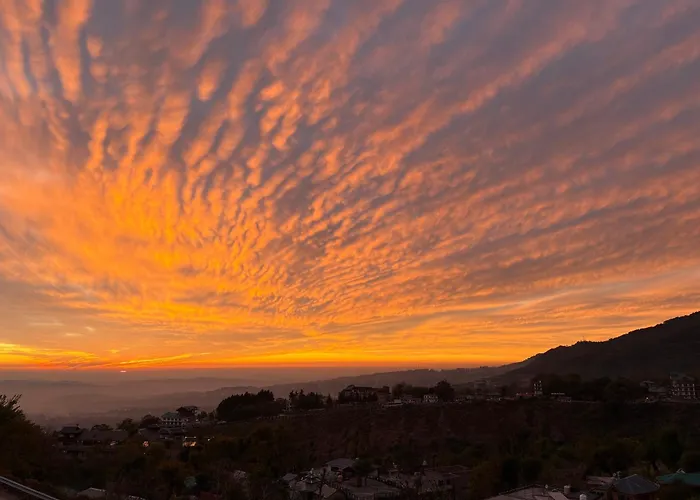 Villa: The Cabin Dharamshala