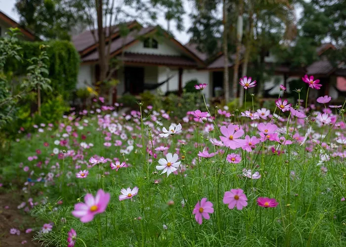 The Nest House