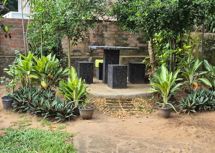 The Hostels Lazy Bear Best In Kandy