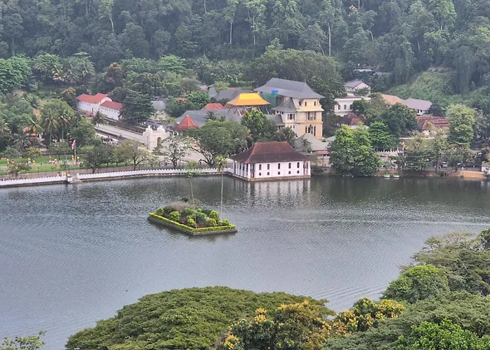 The Hostels Lazy Bear Best In Kandy
