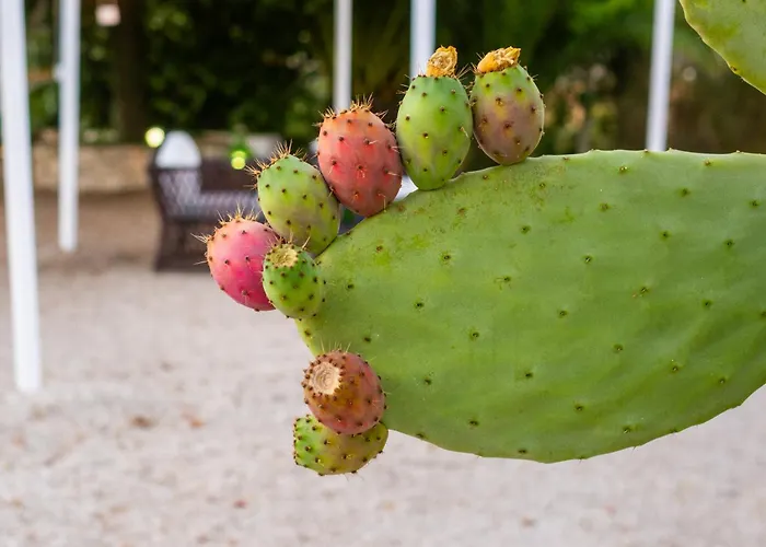 Il Trullo dei Ricordi