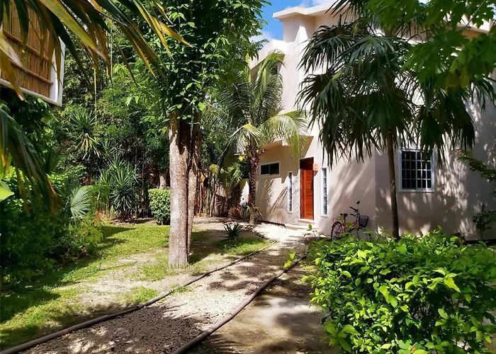 Pet Friendly hotel: Mini Pini Birdwatching And Cenote Loft4 You Only