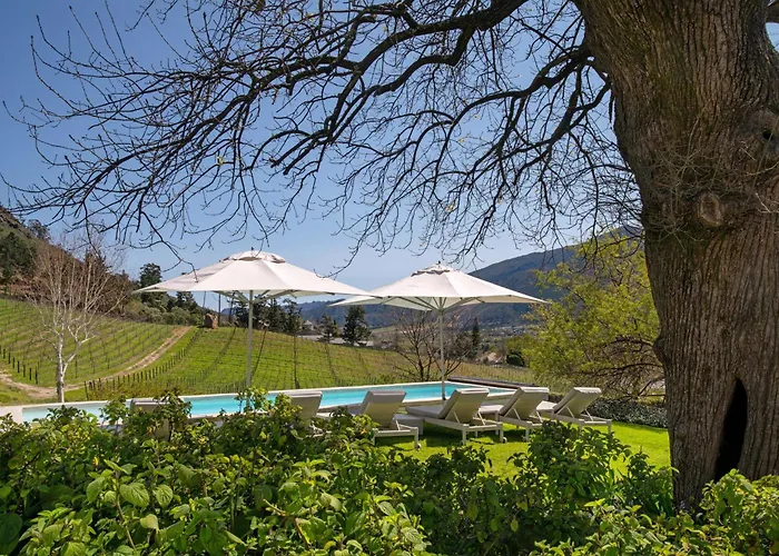 Mont Rochelle And Vineyard