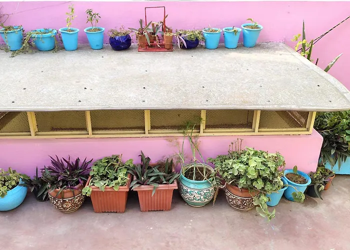 Dog friendly hotels Ali Baba & Homestay