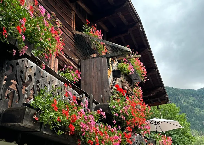 Hôtel accueillant les animaux: Gite La Montagne