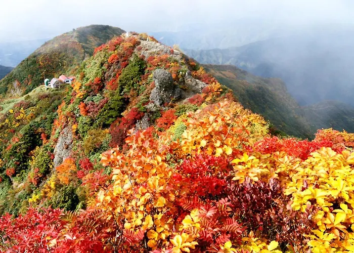 Pension Come Relaxing Western-Style Room- Vacation Stay 14977