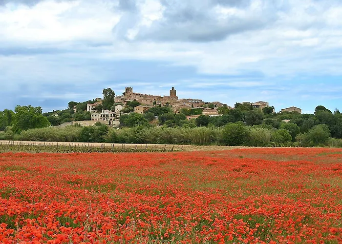 Hotel que admite mascotas: Casa Andreu