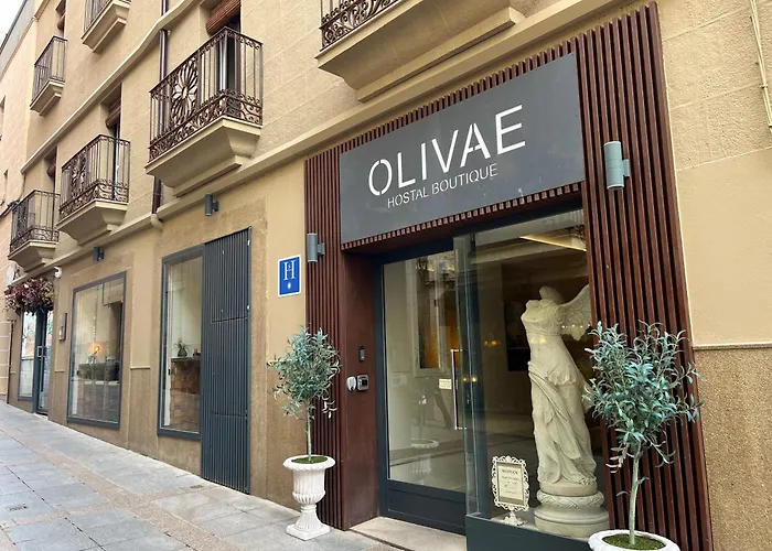 Hotel con vistas: Olivae Hostal Boutique