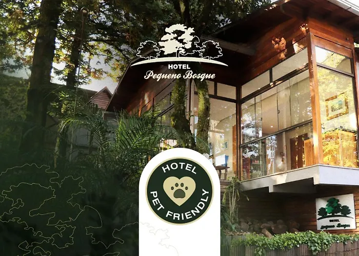 Hotel com vista: Hotel Pequeno Bosque