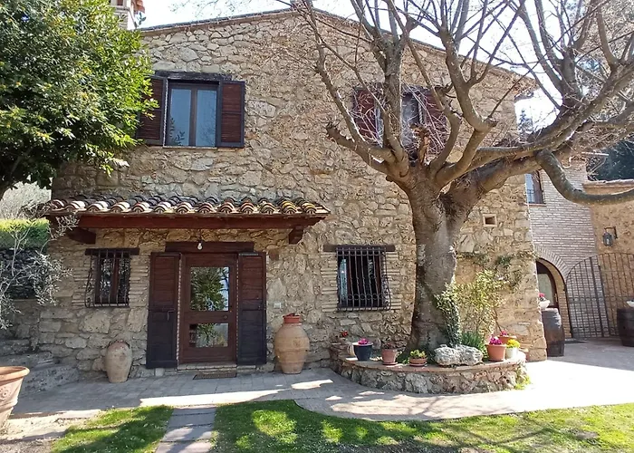 All'Ombra Di San Damiano
