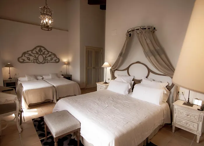 Perros hoteles La Mozaira