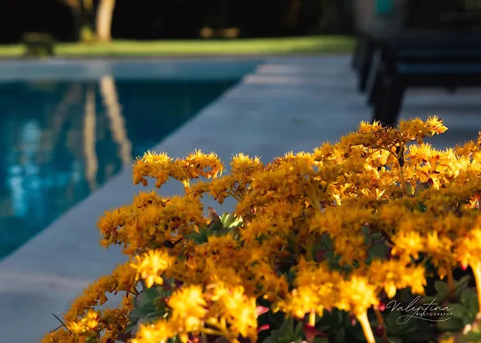 Hotel con piscina: Arcadia - Sirolo