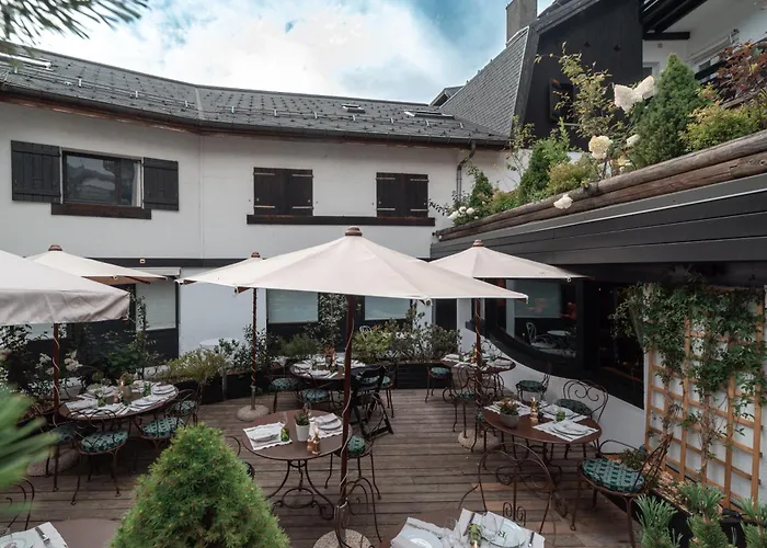 Hôtel accueillant les animaux: Hotel Mont Blanc Megève