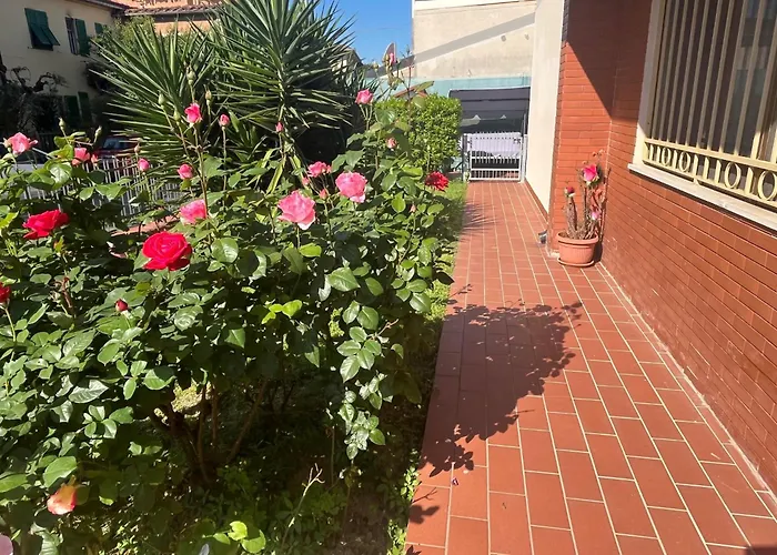 Appartamento : Comfort House Pisa