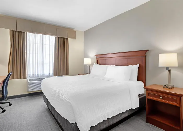 Best Western Plus Executive Hotel & Suites