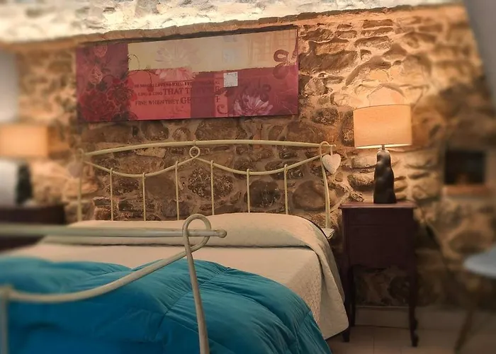 Hotel adatto agli animali: La terrazza