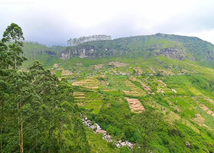 Natural View Resort