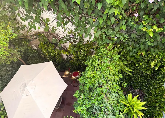 Apartment: Casa Bugambilia - Alma Hotels