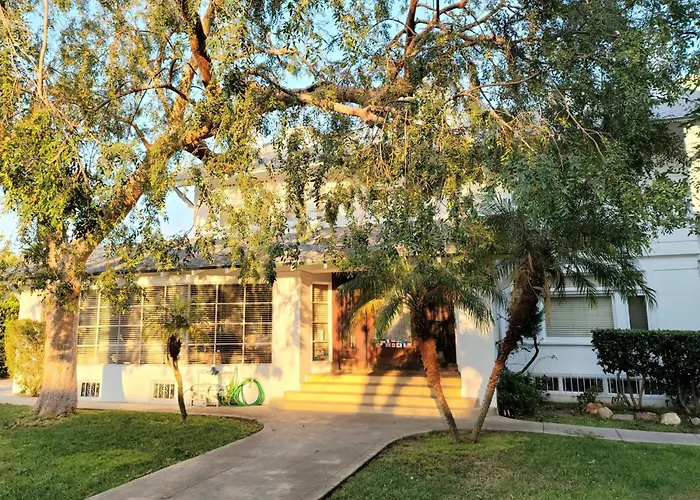 Orange Drive (Adults Only)